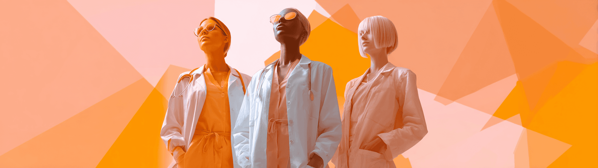 Meet The Team